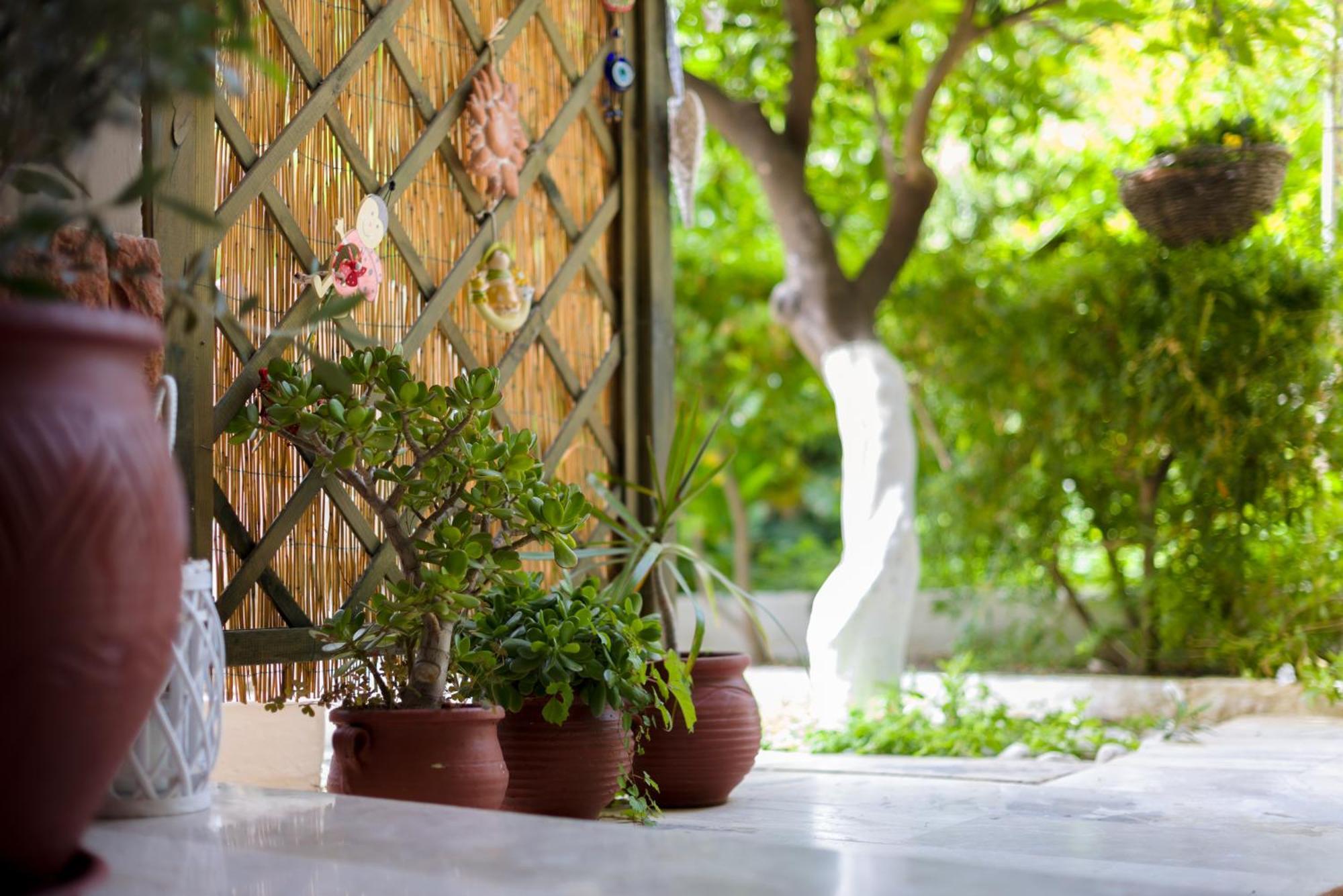 Oasis Home Tolón Zewnętrze zdjęcie